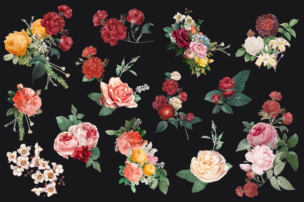 Colección de ilustraciones de acuarela de flores de colores