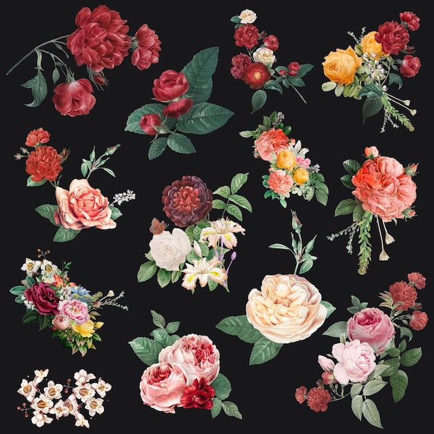 Colección de ilustraciones de acuarela de vector de flores de colores