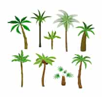 Vector gratuito colección de ilustraciones de dibujos animados de palmeras. exóticos fructíferos, cocoteros o plátanos, vegetación tropical, vegetación o plantas aisladas en fondo blanco. naturaleza, flora, concepto de selva.