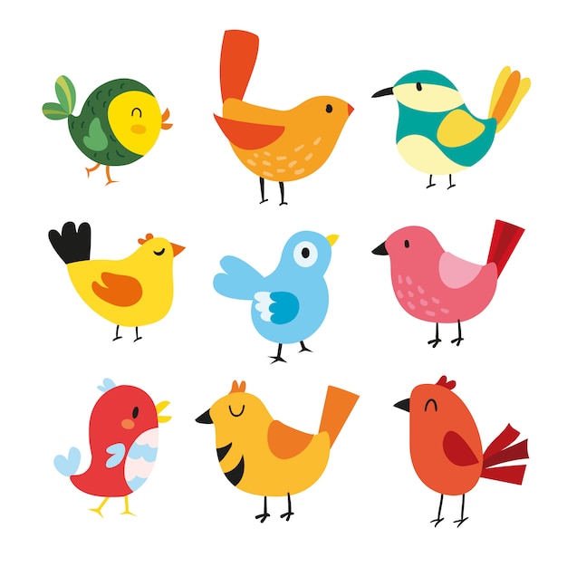 Colección de ilustraciones de pájaros