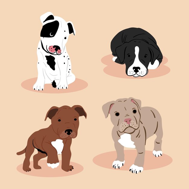 Colección ilustrada pitbull dibujada a mano