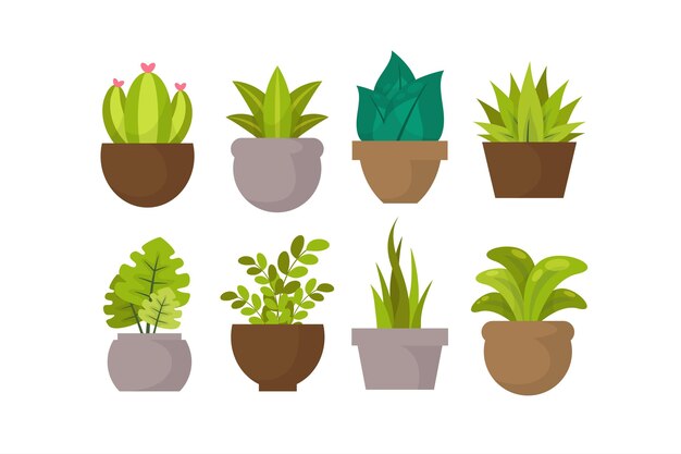 Colección ilustrada de plantas de interior planas