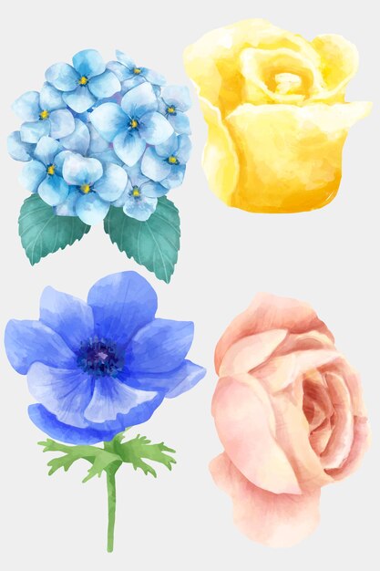 Colección de imágenes prediseñadas de flores de acuarela