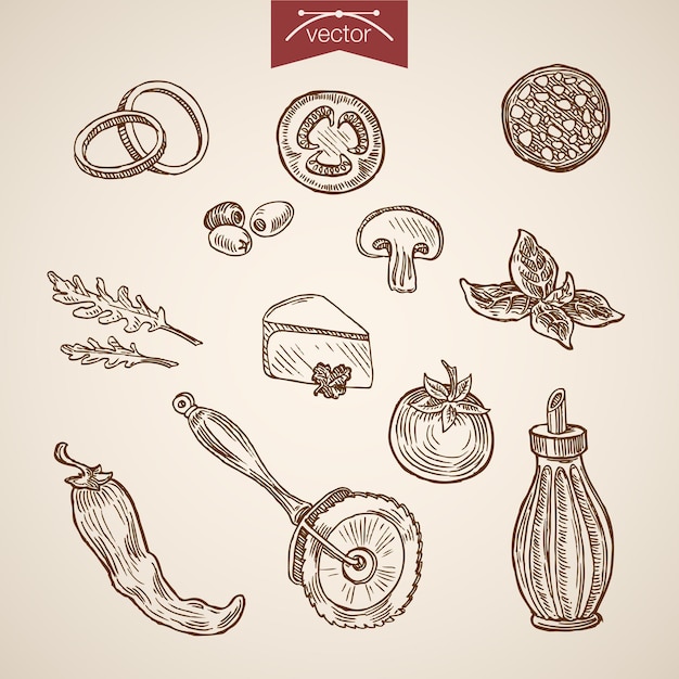 Vector gratuito colección de ingredientes de pizza dibujados a mano vintage de grabado. dibujo a lápiz salchicha, parmesano, tomate, albahaca, chile, ilustración de condimento de aceite de oliva.