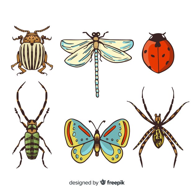 Colección de insectos coloridos dibujados a mano