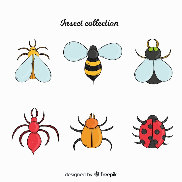 Colección de insectos coloridos dibujados a mano
