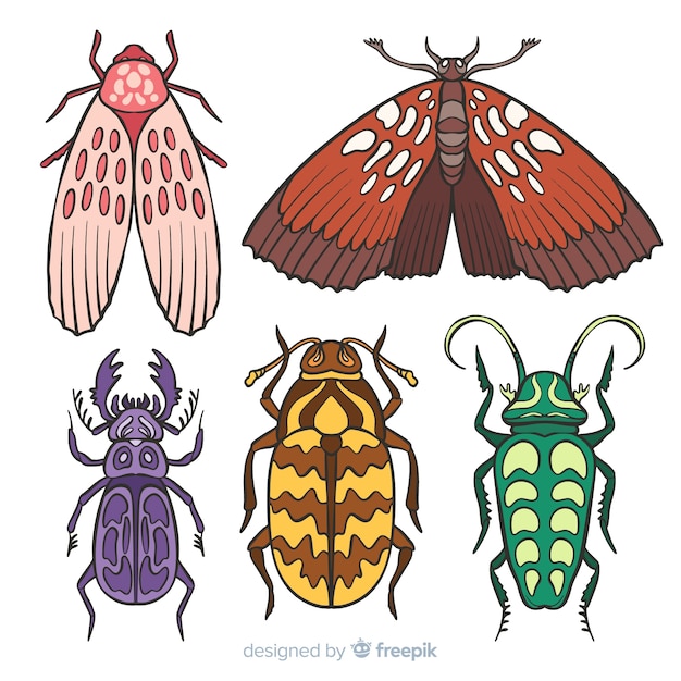 Vector gratuito colección de insectos coloridos dibujados a mano