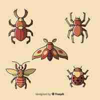 Vector gratuito colección de insectos coloridos dibujados a mano