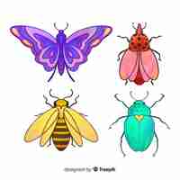 Vector gratuito colección insectos coloridos