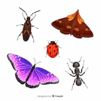 Vector gratuito colección insectos coloridos