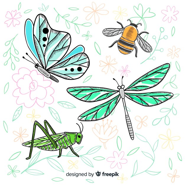Colección de insectos dibujado a mano realista