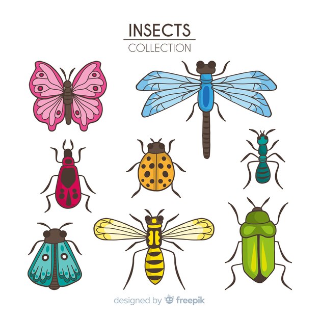 Colección de insectos dibujado a mano