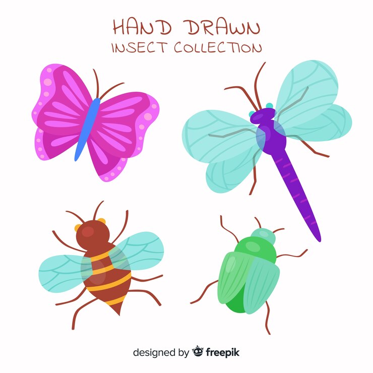 Vector gratuito colección de insectos dibujado a mano
