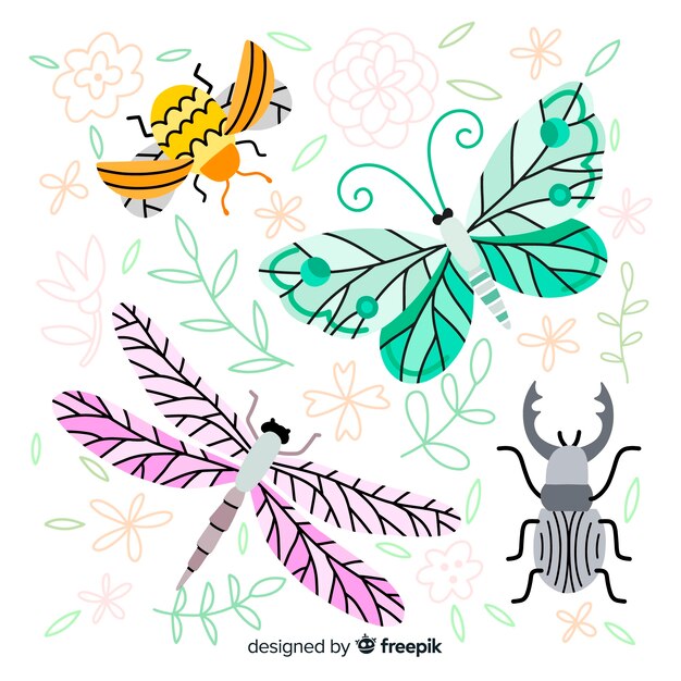Colección de insectos dibujado a mano