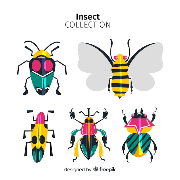 Vector gratuito colección de insectos dibujado a mano