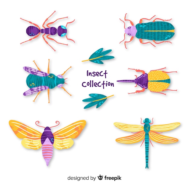 Colección insectos dibujados a mano
