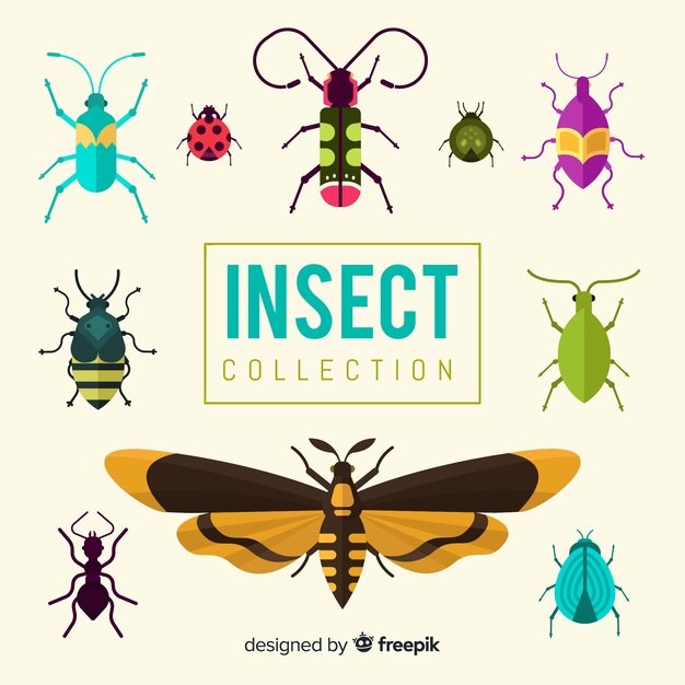 Colección de insectos dibujados a mano