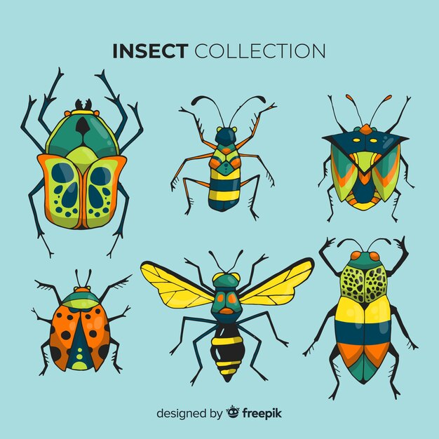 Colección de insectos dibujados a mano