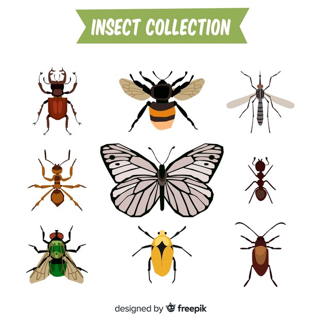 Colección de insectos dibujados a mano