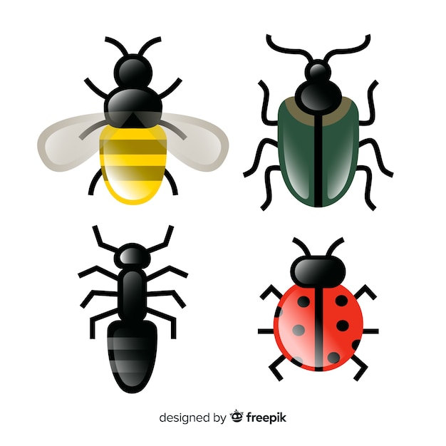 Colección insectos dibujados a mano