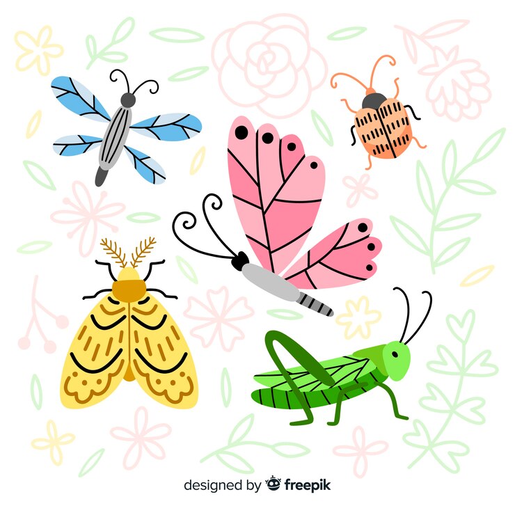 Vector gratuito colección insectos dibujados a mano