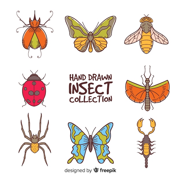 Colección insectos dibujados a mano