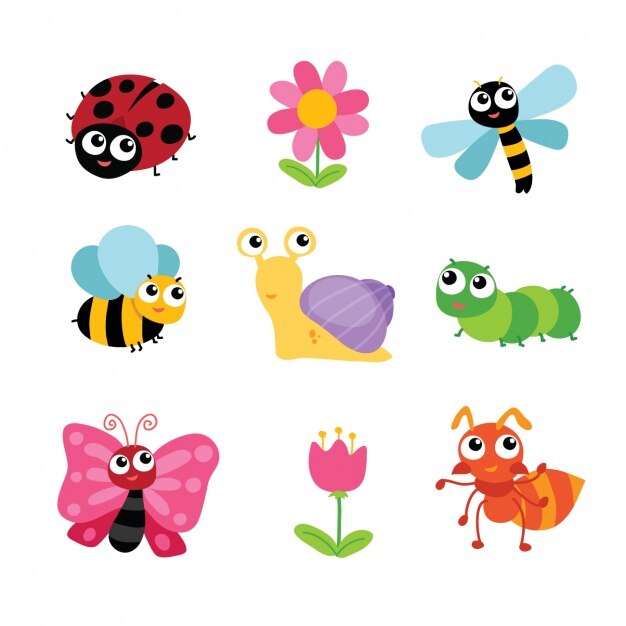 Colección de insectos y flores