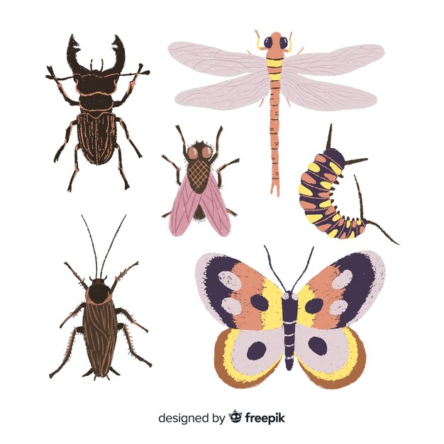 Colección insectos realistas dibujados a mano