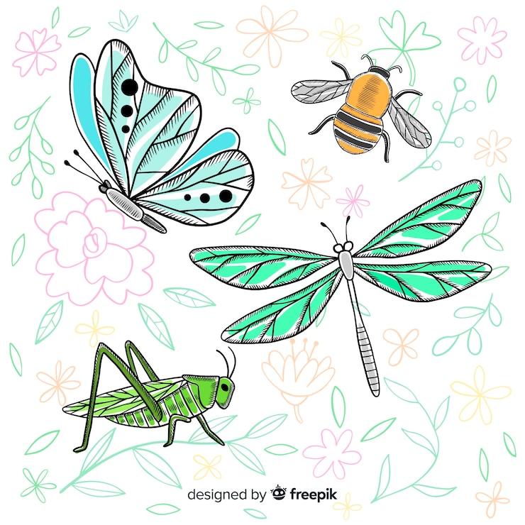 Vector gratuito colección insectos realistas dibujados a mano