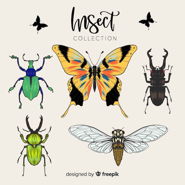 Vector gratuito colección insectos realistas