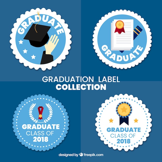 Colección de insignias de graduación con diseño plano