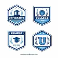 Vector gratuito colección de insignias de graduación en estilo plano