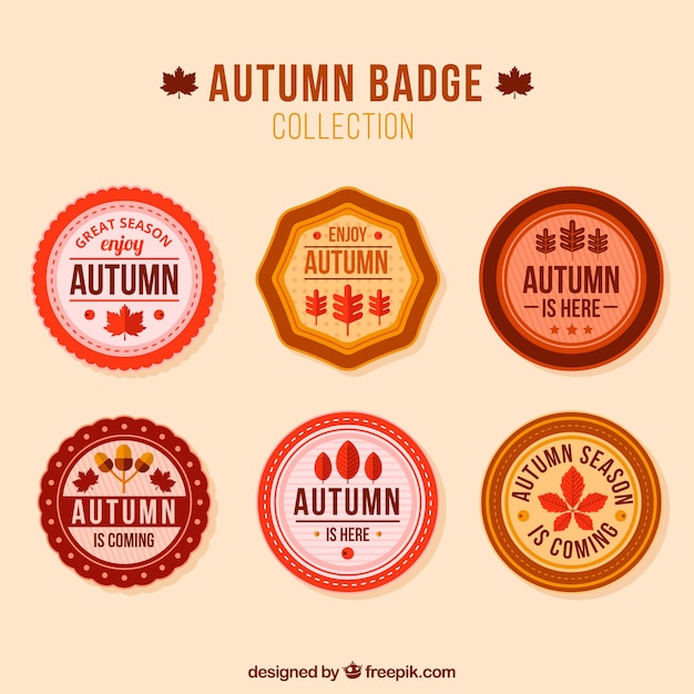 Colección de insignias otoñales con diseño plano