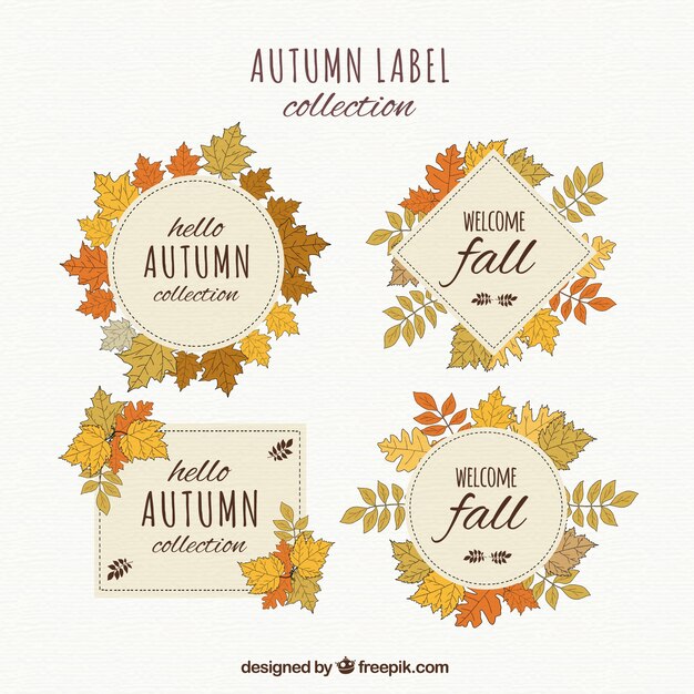 Colección de insignias de otoño dibujadas a mano