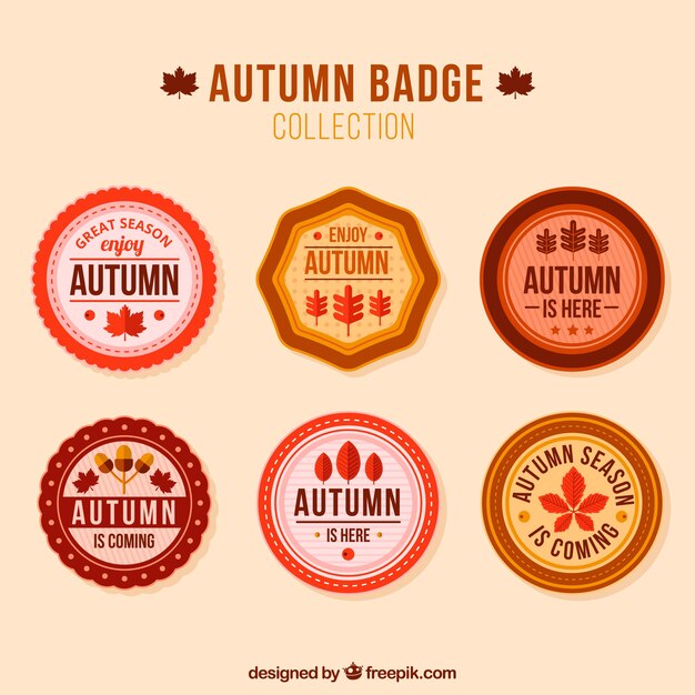 Colección de insignias de otoño con diseño plano