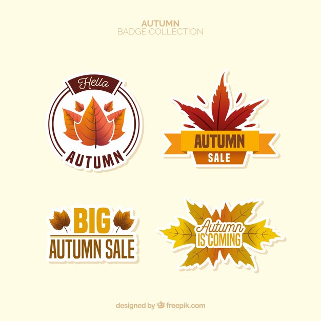 Colección de insignias de otoño con diseño plano