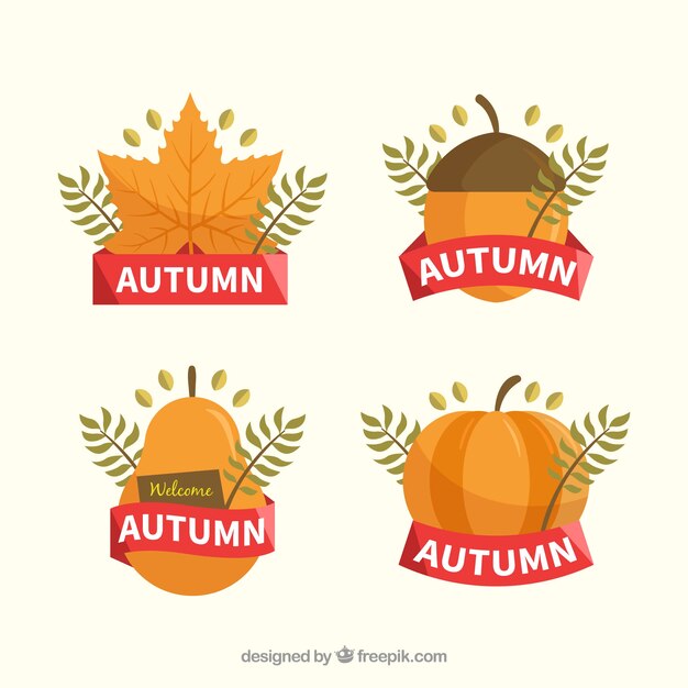 Colección de insignias de otoño con hojas