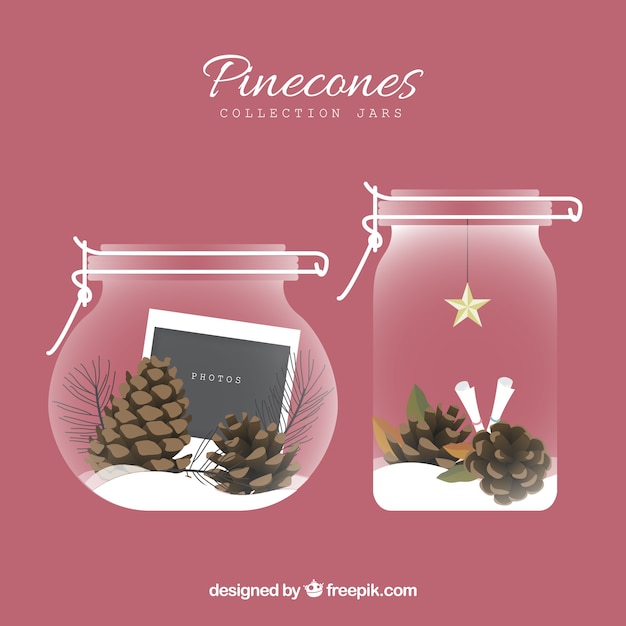 Vector gratuito colección de jarras con piñones