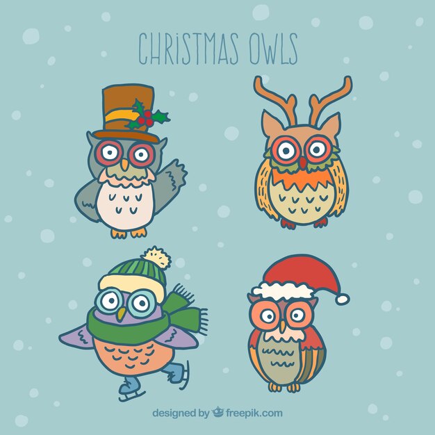 Colección linda de búhos de navidad