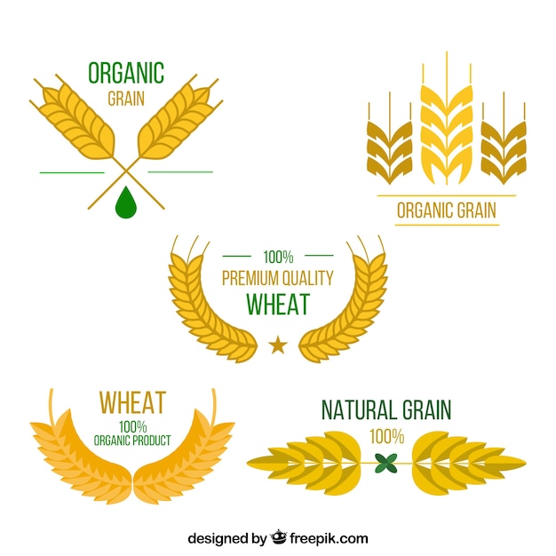 Vector gratuito colección de logos de trigo planos