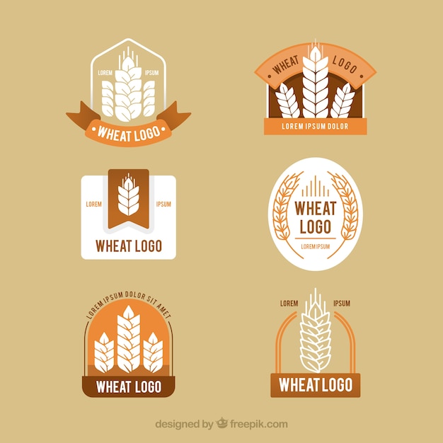 Colección de logos de trigo planos