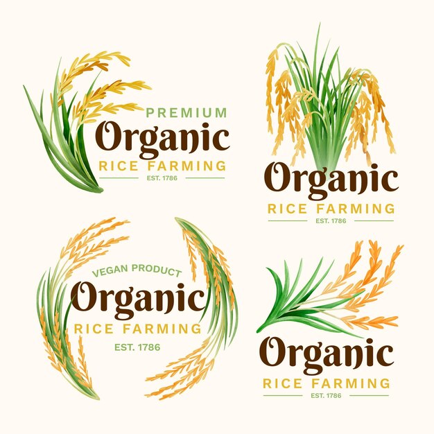 Colección de logotipos de arroz