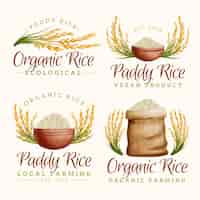 Vector gratuito colección de logotipos de arroz