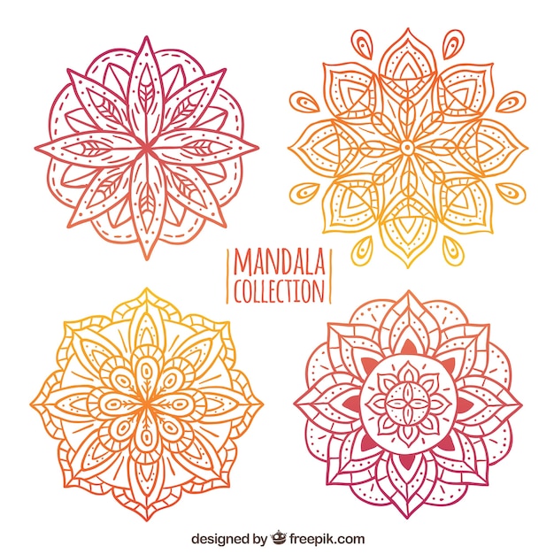 Vector gratuito colección de mandalas florales dibujados a mano de colores