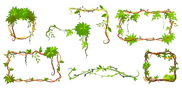Colección de marco tropical verde. Lianas en forma de marco de dibujos animados, ramas de plantas de la selva con hojas