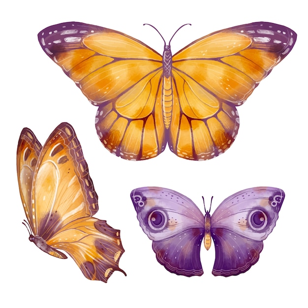 Vector gratuito colección de mariposas de acuarela