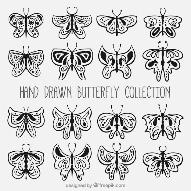 Vector gratuito colección de mariposas dibujadas a mano en estilo ornamental