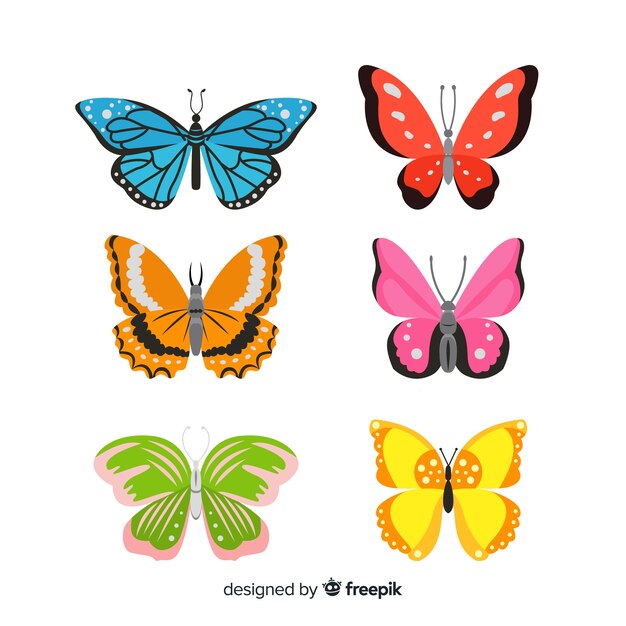 Colección de mariposas planas