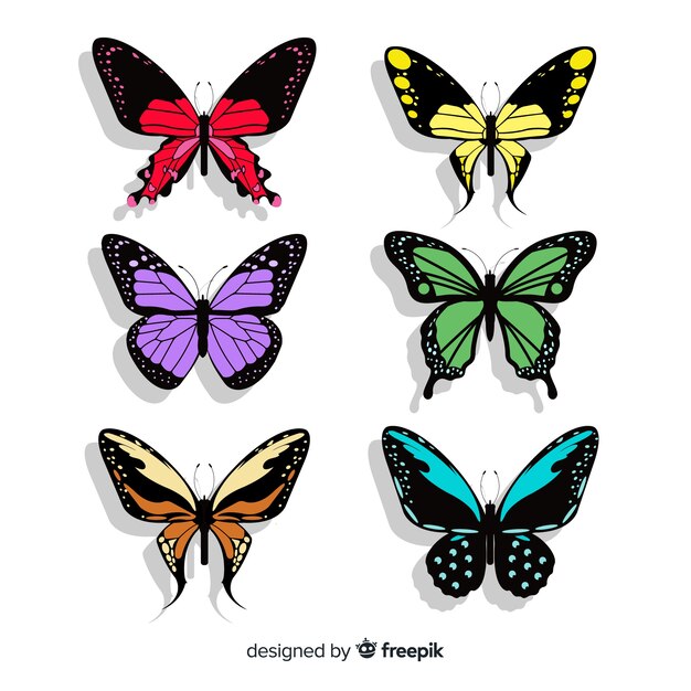 Colección de mariposas planas