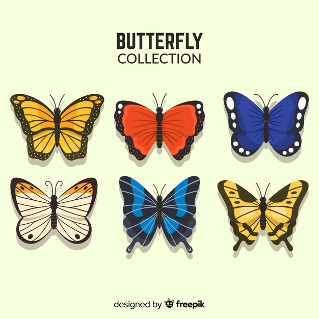 Colección mariposas realistas